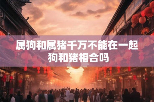 属狗和属猪千万不能在一起 狗和猪相合吗