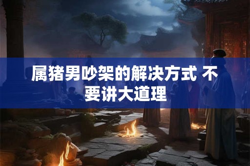 属猪男吵架的解决方式 不要讲大道理