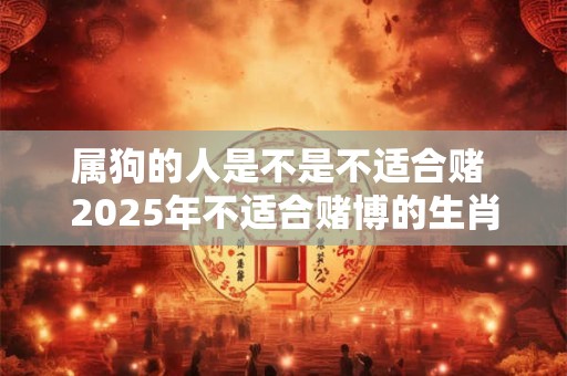 属狗的人是不是不适合赌 2025年不适合赌博的生肖