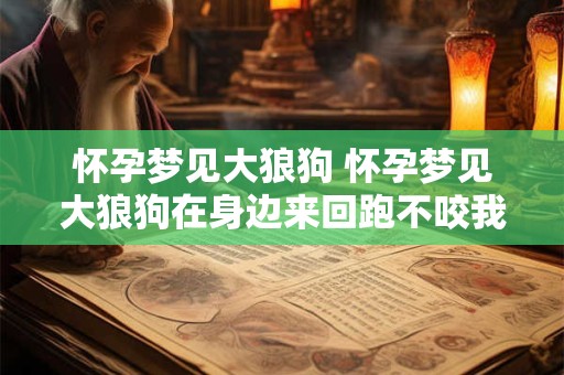 怀孕梦见大狼狗 怀孕梦见大狼狗在身边来回跑不咬我