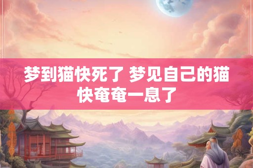 梦到猫快死了 梦见自己的猫快奄奄一息了