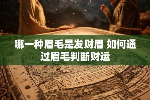哪一种眉毛是发财眉 如何通过眉毛判断财运