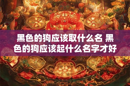 黑色的狗应该取什么名 黑色的狗应该起什么名字才好听
