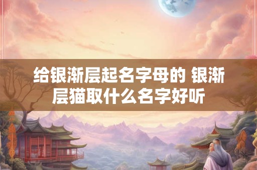 给银渐层起名字母的 银渐层猫取什么名字好听