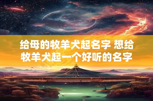 给母的牧羊犬起名字 想给牧羊犬起一个好听的名字