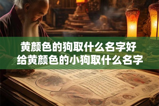 黄颜色的狗取什么名字好 给黄颜色的小狗取什么名字好 吉祥