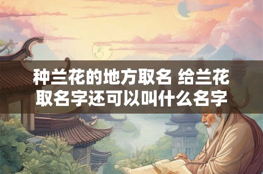 种兰花的地方取名 给兰花取名字还可以叫什么名字