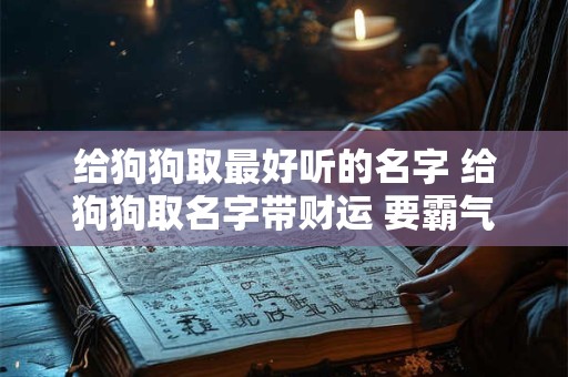 给狗狗取最好听的名字 给狗狗取名字带财运 要霸气