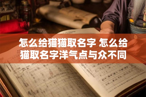 怎么给猫猫取名字 怎么给猫取名字洋气点与众不同