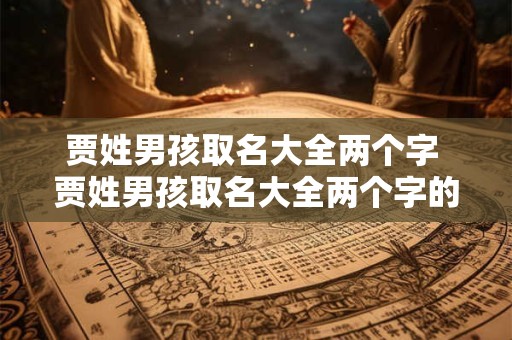 贾姓男孩取名大全两个字 贾姓男孩取名大全两个字的名字