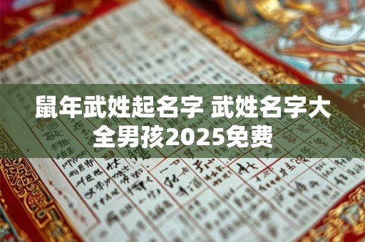 鼠年武姓起名字 武姓名字大全男孩2025免费