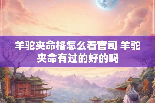 羊驼夹命格怎么看官司 羊驼夹命有过的好的吗