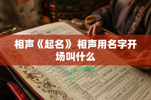 相声《起名》 相声用名字开场叫什么
