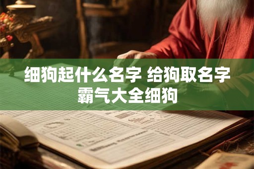 细狗起什么名字 给狗取名字霸气大全细狗