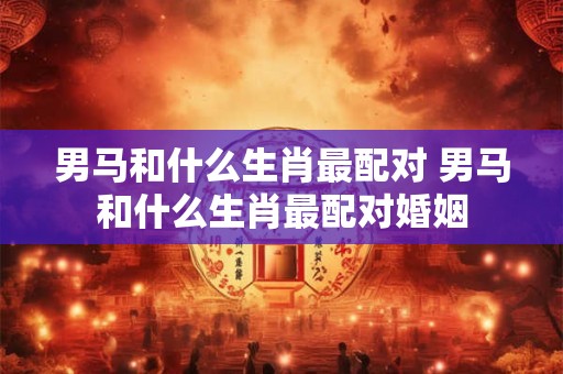 男马和什么生肖最配对 男马和什么生肖最配对婚姻