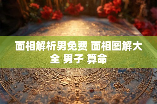 详细阅读:面相解析男免费 面相图解大全 男子 算命 面相解析男免费 面相图解大全 男子 算命