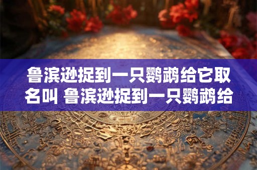 鲁滨逊捉到一只鹦鹉给它取名叫 鲁滨逊捉到一只鹦鹉给它取名叫什么名字