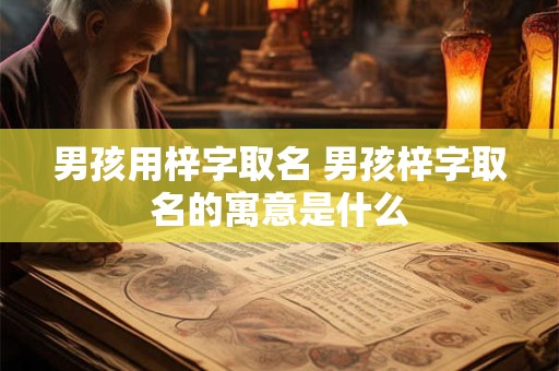 男孩用梓字取名 男孩梓字取名的寓意是什么