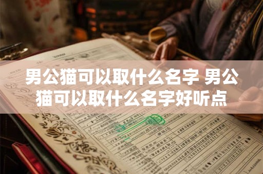 男公猫可以取什么名字 男公猫可以取什么名字好听点