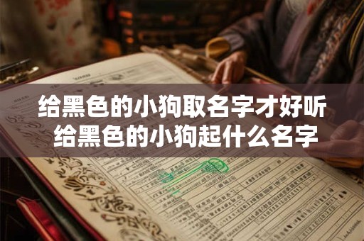 给黑色的小狗取名字才好听 给黑色的小狗起什么名字比较好听