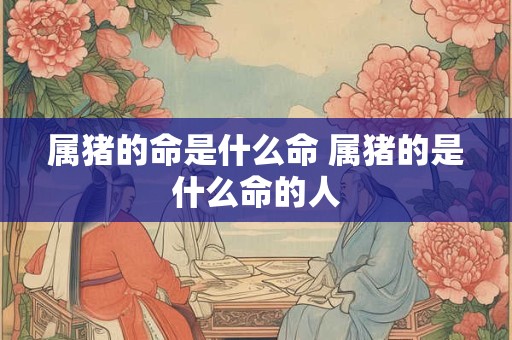 属猪的命是什么命 属猪的是什么命的人