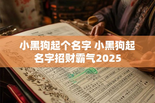 小黑狗起个名字 小黑狗起名字招财霸气2025