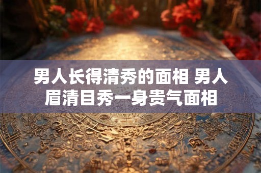 男人长得清秀的面相 男人眉清目秀一身贵气面相