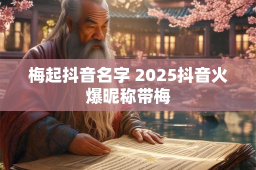 梅起抖音名字 2025抖音火爆昵称带梅