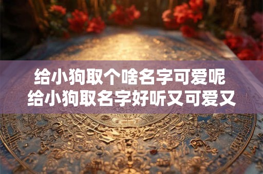 给小狗取个啥名字可爱呢 给小狗取名字好听又可爱又萌的名字