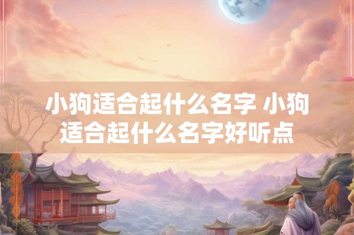 小狗适合起什么名字 小狗适合起什么名字好听点