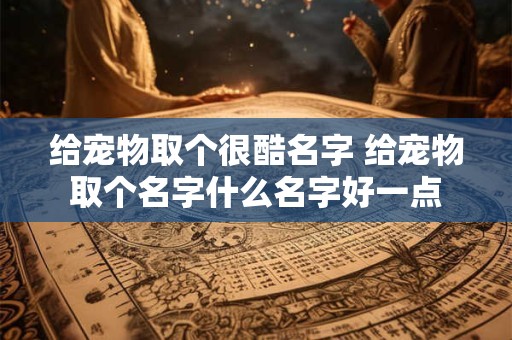 给宠物取个很酷名字 给宠物取个名字什么名字好一点
