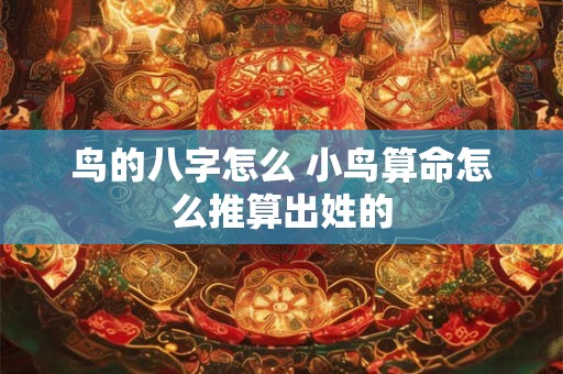鸟的八字怎么 小鸟算命怎么推算出姓的