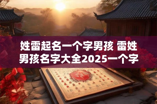 姓雷起名一个字男孩 雷姓男孩名字大全2025一个字