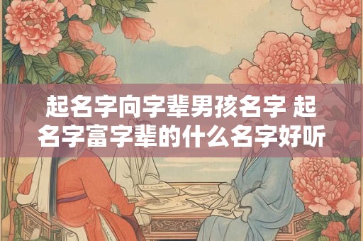 起名字向字辈男孩名字 起名字富字辈的什么名字好听
