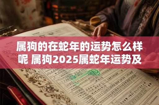 属狗的在蛇年的运势怎么样呢 属狗2025属蛇年运势及运程每月运程
