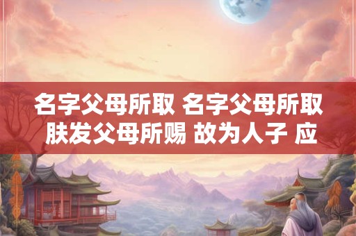 名字父母所取 名字父母所取 肤发父母所赐 故为人子 应怀感恩之心