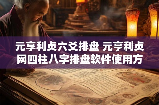 元享利贞六爻排盘 元亨利贞网四柱八字排盘软件使用方法