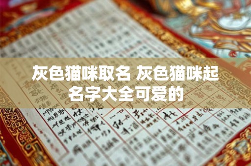 灰色猫咪取名 灰色猫咪起名字大全可爱的