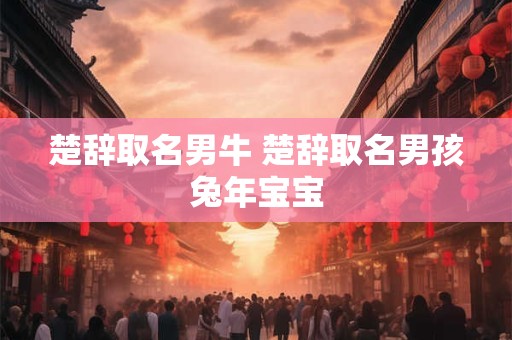 楚辞取名男牛 楚辞取名男孩兔年宝宝