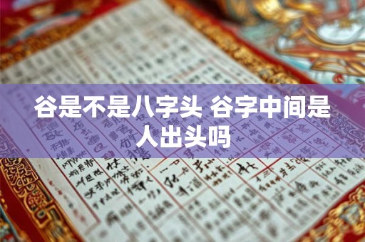 谷是不是八字头 谷字中间是人出头吗