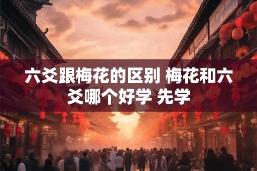 六爻跟梅花的区别 梅花和六爻哪个好学 先学