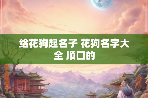 给花狗起名子 花狗名字大全 顺口的