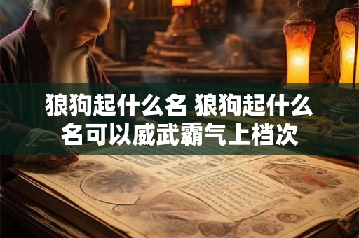 狼狗起什么名 狼狗起什么名可以威武霸气上档次