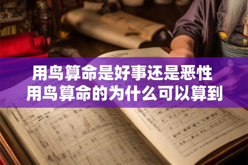 用鸟算命是好事还是恶性 用鸟算命的为什么可以算到生辰八字