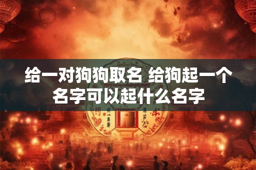 给一对狗狗取名 给狗起一个名字可以起什么名字