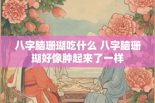 八字脑珊瑚吃什么 八字脑珊瑚好像肿起来了一样