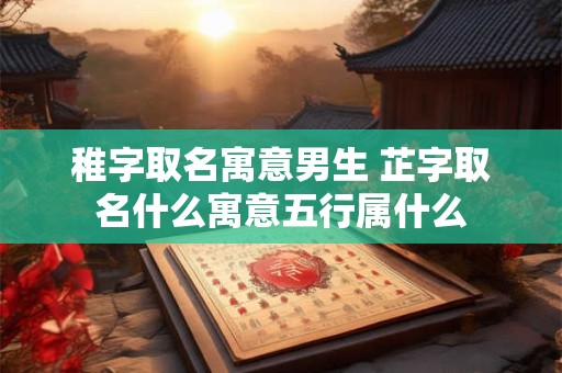 稚字取名寓意男生 芷字取名什么寓意五行属什么