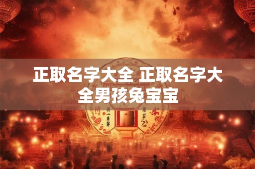 正取名字大全 正取名字大全男孩兔宝宝