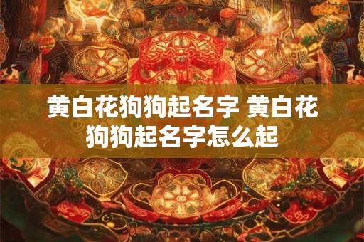 黄白花狗狗起名字 黄白花狗狗起名字怎么起