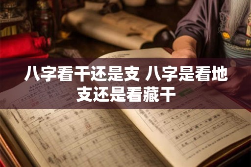 八字看干还是支 八字是看地支还是看藏干